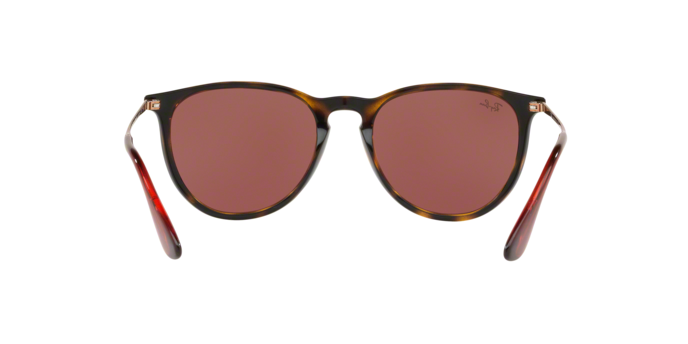 Rayban Erika 4171 639175 360 visione