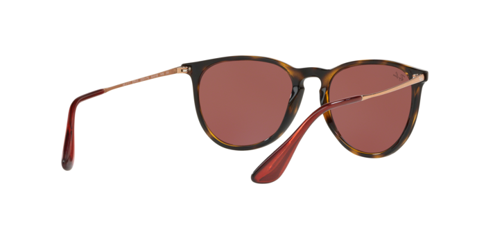 Rayban Erika 4171 639175 360 visione