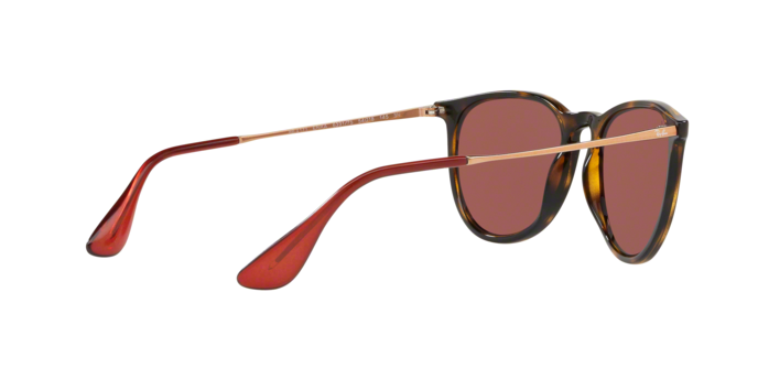 Rayban Erika 4171 639175 360 visione