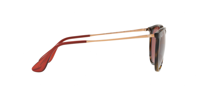 Rayban Erika 4171 639175 360 visione