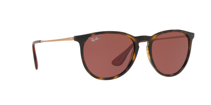 Rayban Erika 4171 639175 360 visione