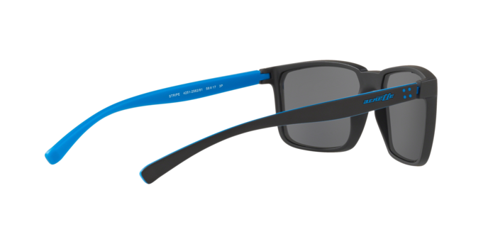 Arnette STRIPE 4251 256281 Pol 360 visione