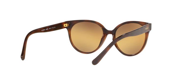 Vogue 5246S 23860L 360 visione