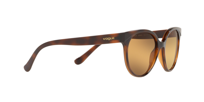 Vogue 5246S 23860L 360 visione