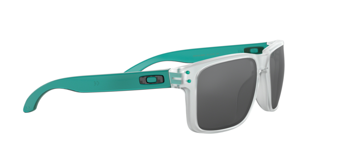 Oakley Holbrook 9102 H6 360 visione