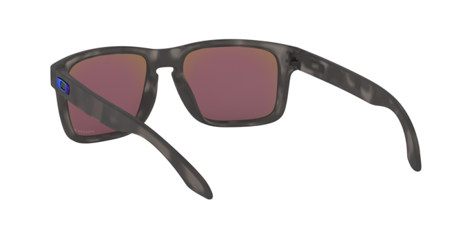 Oakley Holbrook 9102 G7 prizm s 360 visione