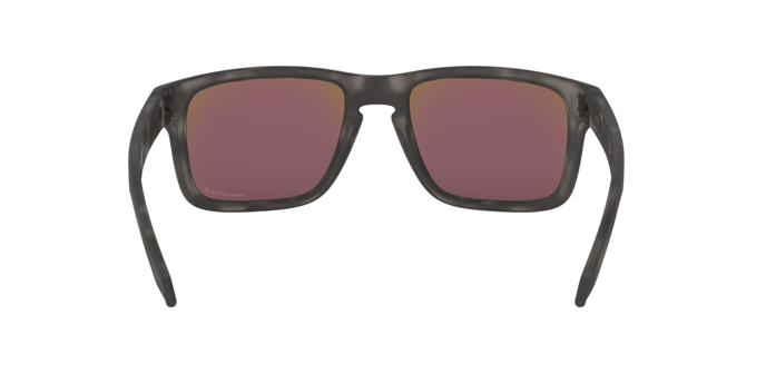 Oakley Holbrook 9102 G7 prizm s 360 visione