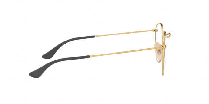 Rayban 3447V ROUND METAL 2991 360 visione