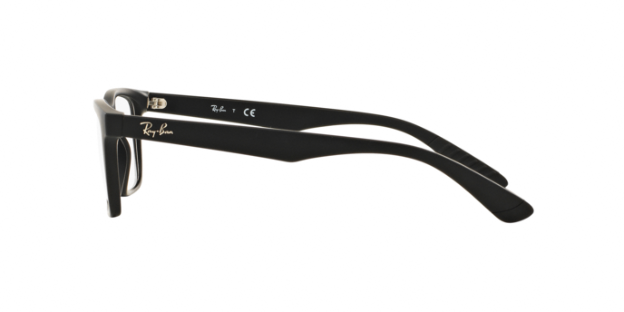 Rayban 7025 2077 360 visione