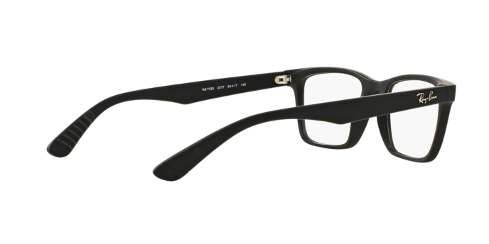 Rayban 7025 2077 360 visione