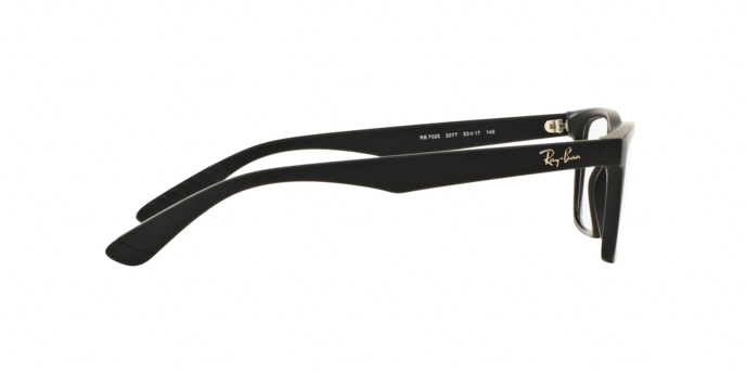 Rayban 7025 2077 360 visione