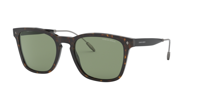 Giorgio Armani 8120 5026/2 360 visione