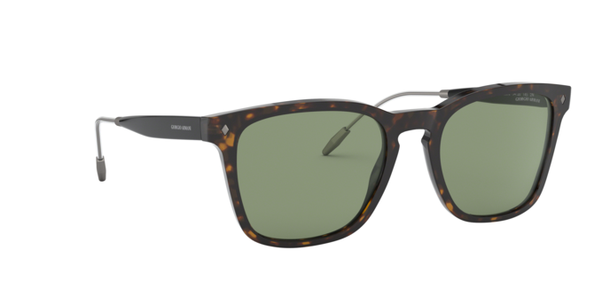 Giorgio Armani 8120 5026/2 360 visione