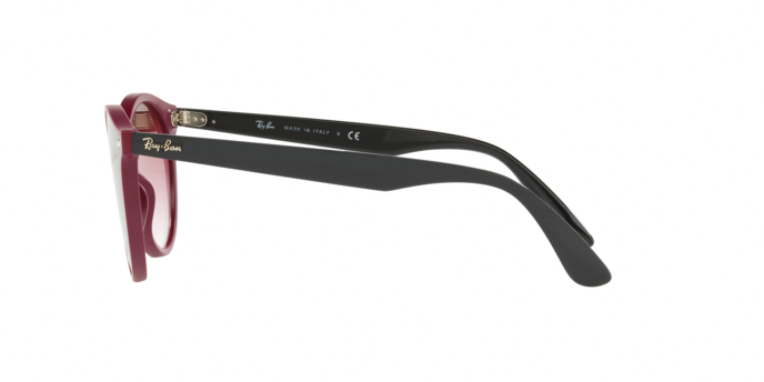 Rayban 4380N BLAZE 64180T 360 visione