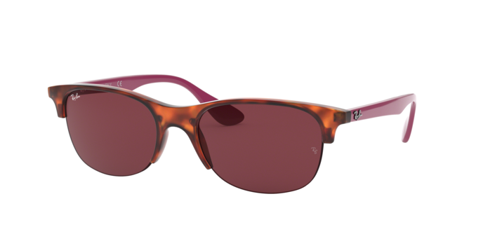 Rayban 4419 642075 360 visione