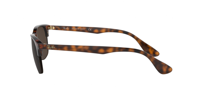 Rayban 4419 710/73 360 visione