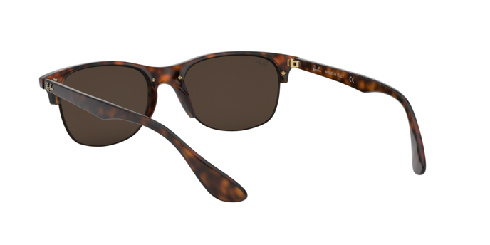 Rayban 4419 710/73 360 visione