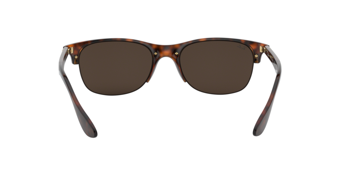 Rayban 4419 710/73 360 visione