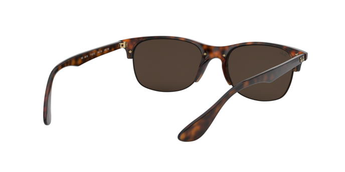 Rayban 4419 710/73 360 visione