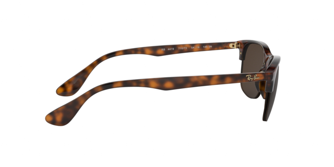 Rayban 4419 710/73 360 visione