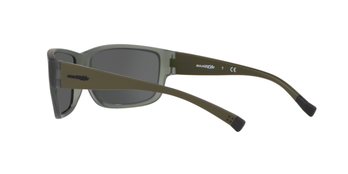 Arnette BUSHWICK 4256 258587 360 visione