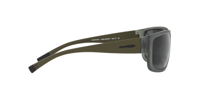 Arnette BUSHWICK 4256 258587 360 visione