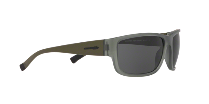 Arnette BUSHWICK 4256 258587 360 visione