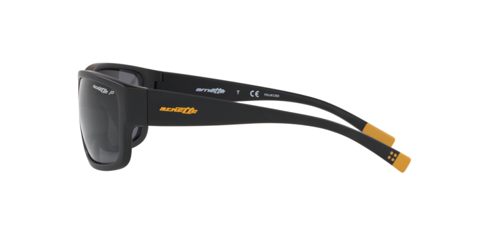 Arnette BUSHWICK 4256 01/81 pola 360 visione