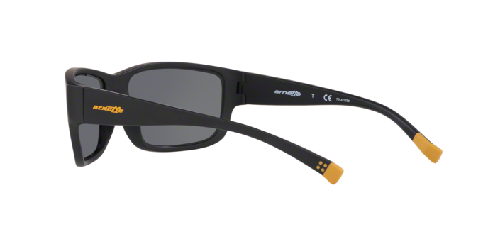 Arnette BUSHWICK 4256 01/81 pola 360 visione