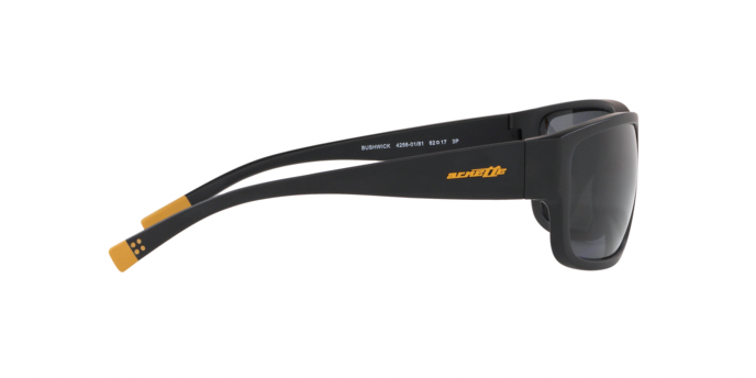 Arnette BUSHWICK 4256 01/81 pola 360 visione