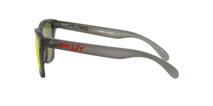 Oakley Frogskins 9013 F8 prizm p 360 visione