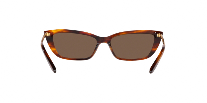 Ralph Lauren 8173 500773 360 visione