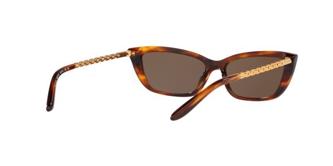 Ralph Lauren 8173 500773 360 visione