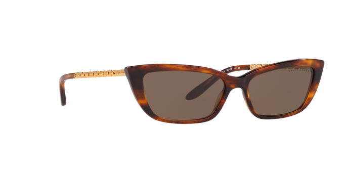 Ralph Lauren 8173 500773 360 visione