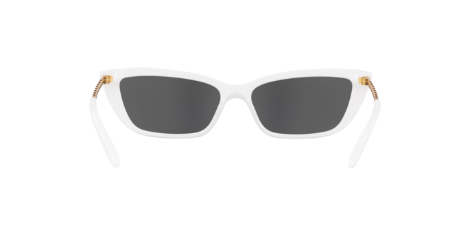 Ralph Lauren 8173 576187 360 visione