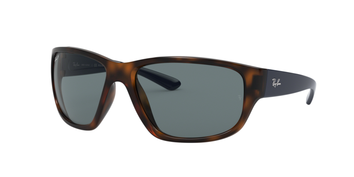Rayban 4300 6433S2 pol 360 visione