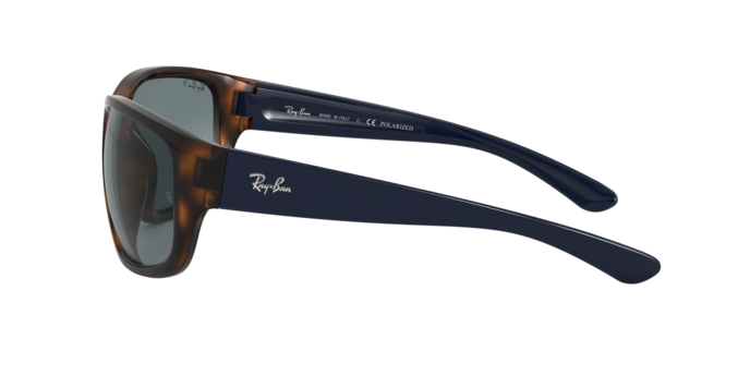 Rayban 4300 6433S2 pol 360 visione