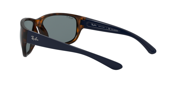 Rayban 4300 6433S2 pol 360 visione