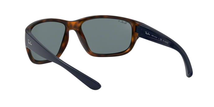Rayban 4300 6433S2 pol 360 visione