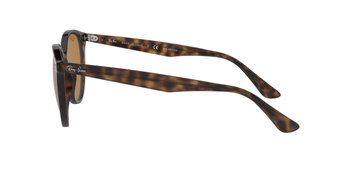 Rayban 4305 710/83 pol 360 visione