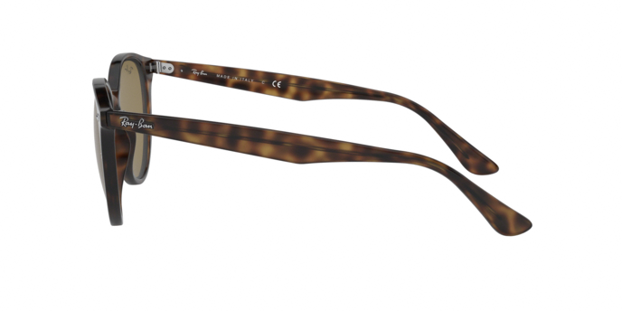 Rayban 4305 710/73 360 visione