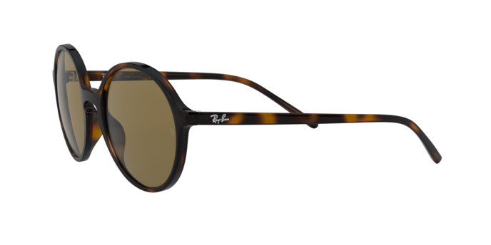 Rayban 4304 710/73 360 visione