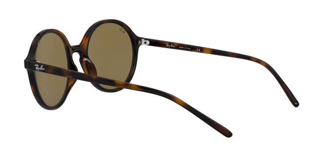 Rayban 4304 710/73 360 visione