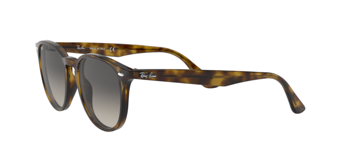 Rayban 4259 710/11 360 visione
