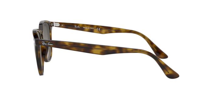 Rayban 4259 710/11 360 visione