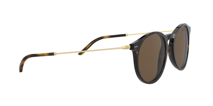 Giorgio Armani 8121 502673 360 visione