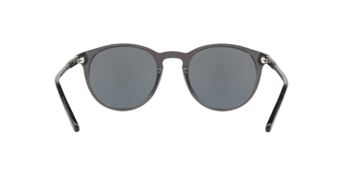 Polo Ralph Lauren 4110 55366G 360 visione