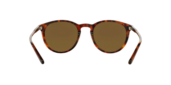 Polo Ralph Lauren 4110 501773 360 visione