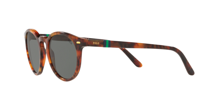 Polo Ralph Lauren 4151 501771 360 visione