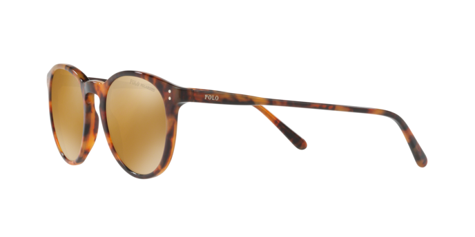 Polo Ralph Lauren 4110 50172O 360 visione